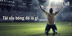 Giải mã tỷ lệ cược bóng tài xỉu từ nhà Sky88