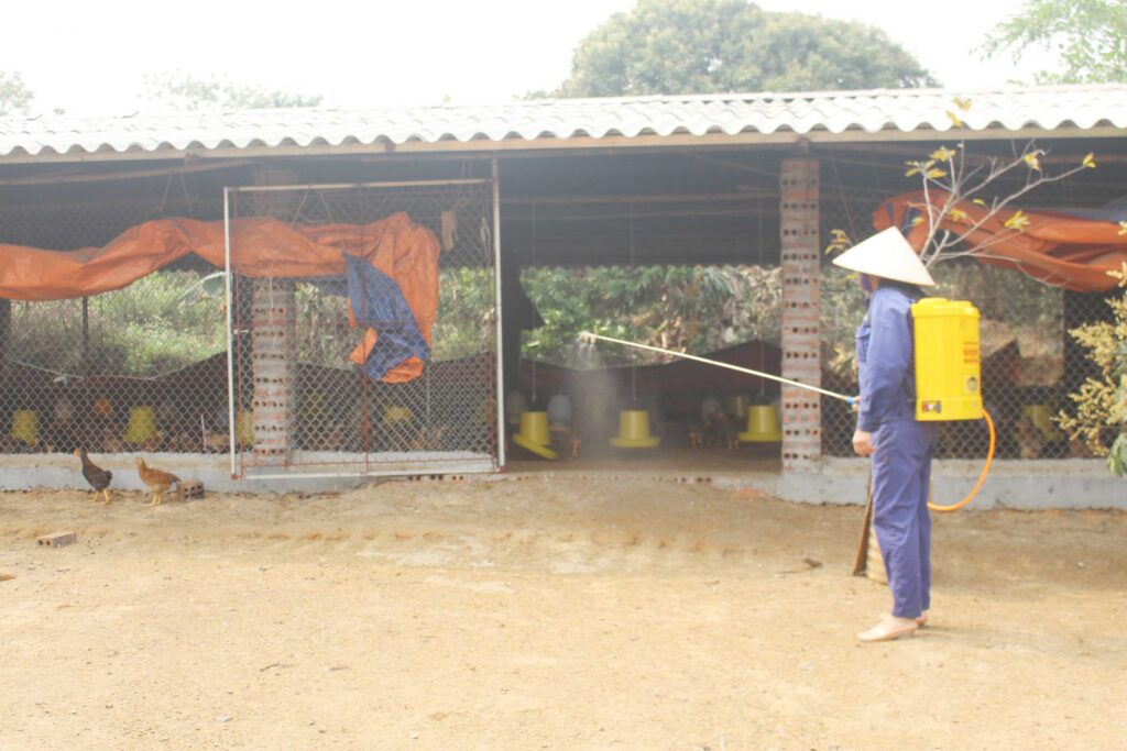 Hướng dẫn quy trình vệ sinh chuồng gà